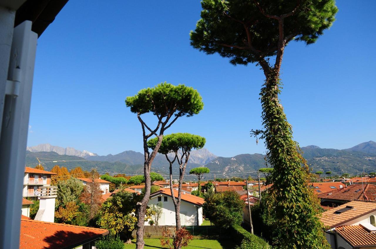 Olive Beach Forte Dei Marmi Buitenkant foto